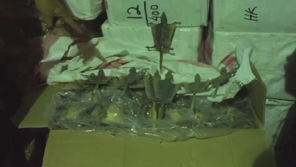 ศรชล.สตูล ยึด“ตุ๊กแกตากแห้ง”หนัก 700 กก. ลอบนำเข้าจากอินโดฯ