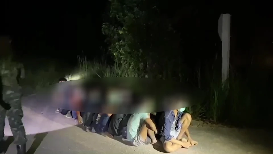 แรงงานเถื่อนซุกกลางป่า