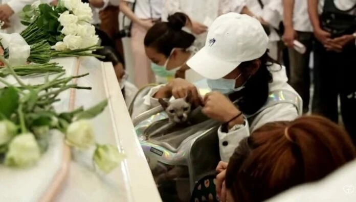 เปิดภาพสุดซึ้ง "เบิร์ด" อุ้มแมวลา "แตงโม" เป็นครั้งสุดท้าย 