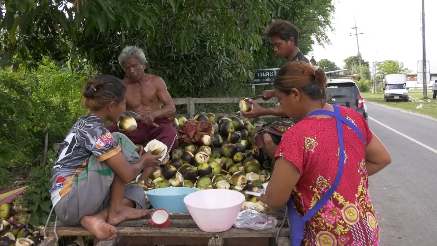 ชาวบ้านบุรีรัมย์ขาย 'ลูกตาลสด' โกยรายได้กว่า 3 พัน/วัน