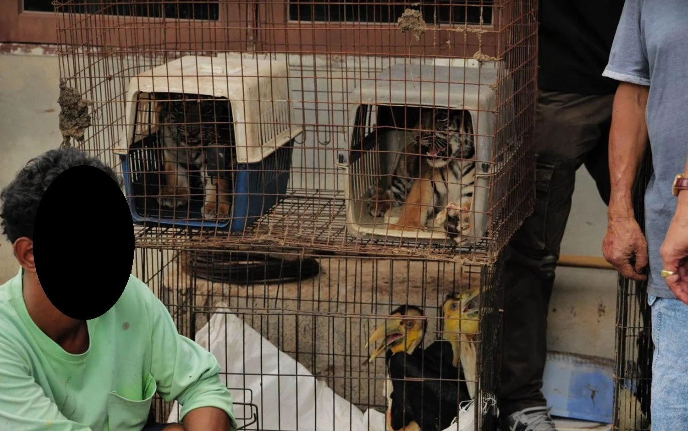 ปทส.จับกุมแก๊งค้าสัตว์ป่ารายใหญ่ที่นครราชสีมา