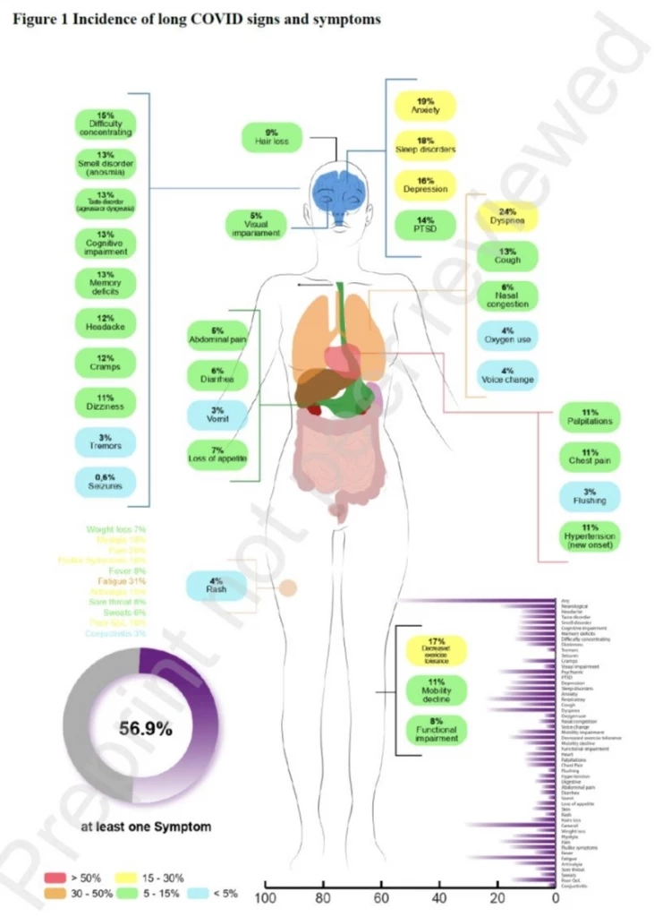 ภาพที่ 1