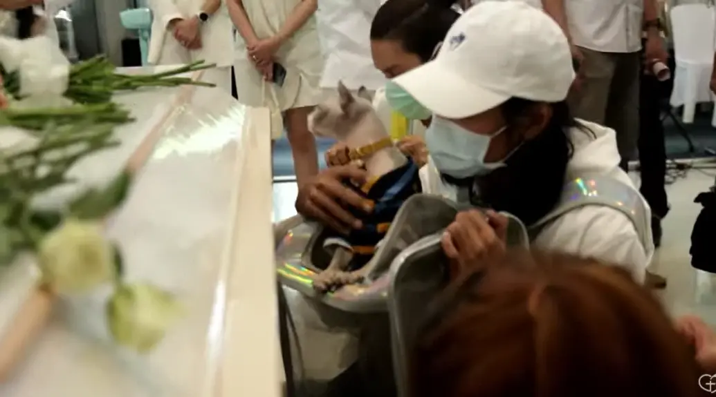 เบิร์ดและแมว ร่วมส่งแตงโมครั้งสุดท้าย