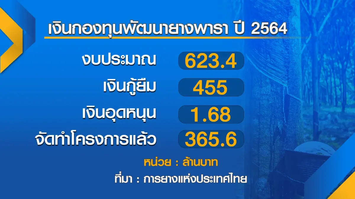 การยางแห่งประเทศไทยจ่อรื้อเกณฑ์ 'ปล่อยกู้' กองทุนฯ