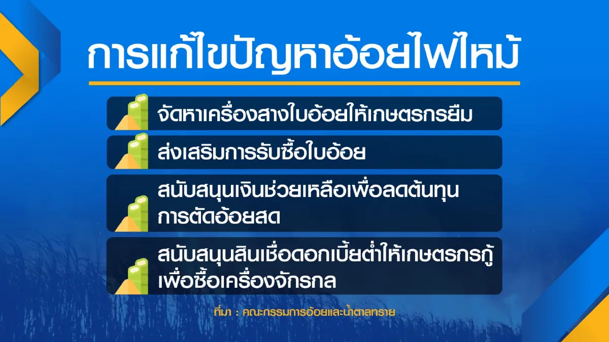 ก.อุตฯ เผยฝนชุกดันผลผลิต 'อ้อย' ทะลัก 92 ล้านตัน