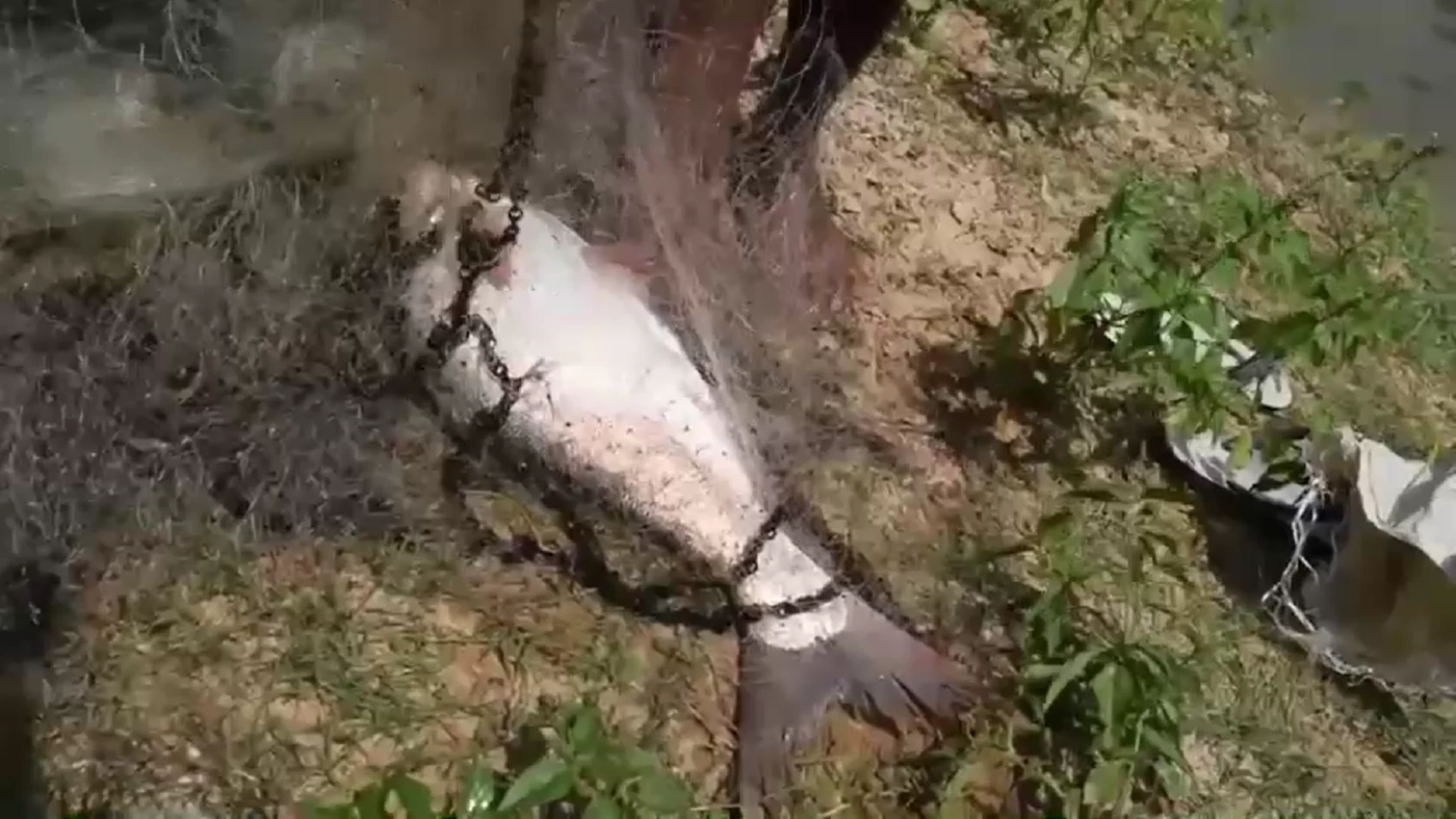 ชาวบ้านยิ้มปริ แห่ซื้อบัตรทอดแห100บาท ขายปลาได้หลักพัน