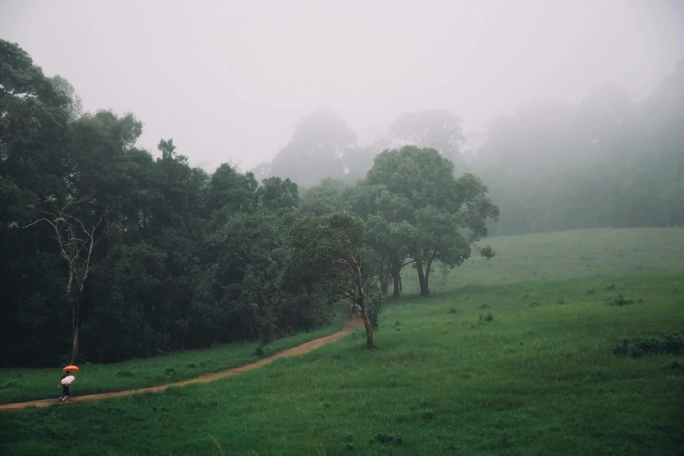 โพสต์ เพจเฟซบุ๊ก อุทยานแห่งชาติเขาใหญ่ - Khao Yai National Park