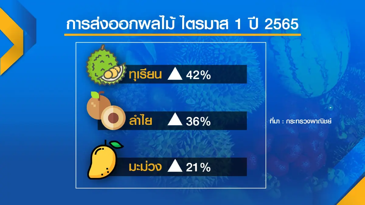 พาณิชย์กาง 3 แนวทางกระจาย 'ผลไม้' 5.6 แสนตัน