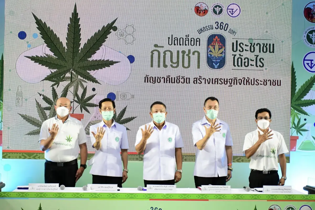 สธ. เตรียมจัดมหกรรมใหญ่รับ “ปลดล็อกกัญชา” สร้างความเข้าใจกัญชาทุกมิติ