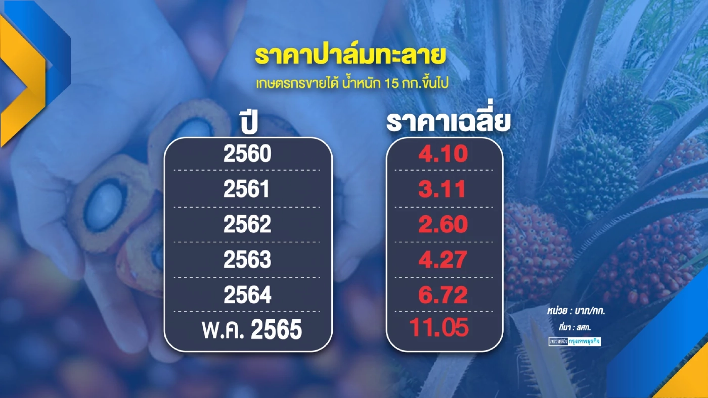 พาณิชย์ตั้งอนุกรรมการ 3 ฝ่าย 'คุม' ราคาปาล์ม