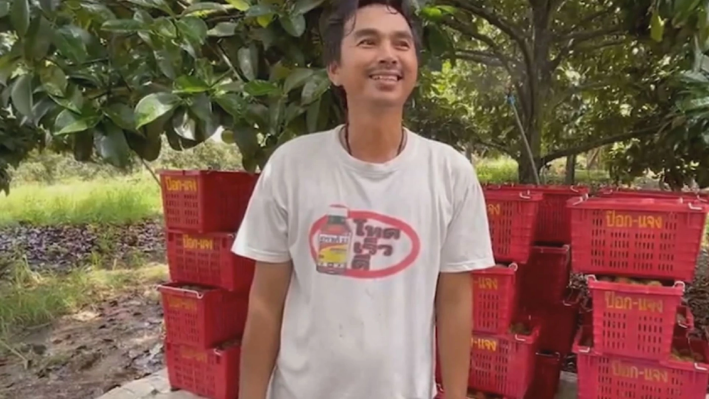 เกษตรกรร้อง 'เงาะ-สับปะรด' ราคาร่วงสวนทางค่าขนส่ง