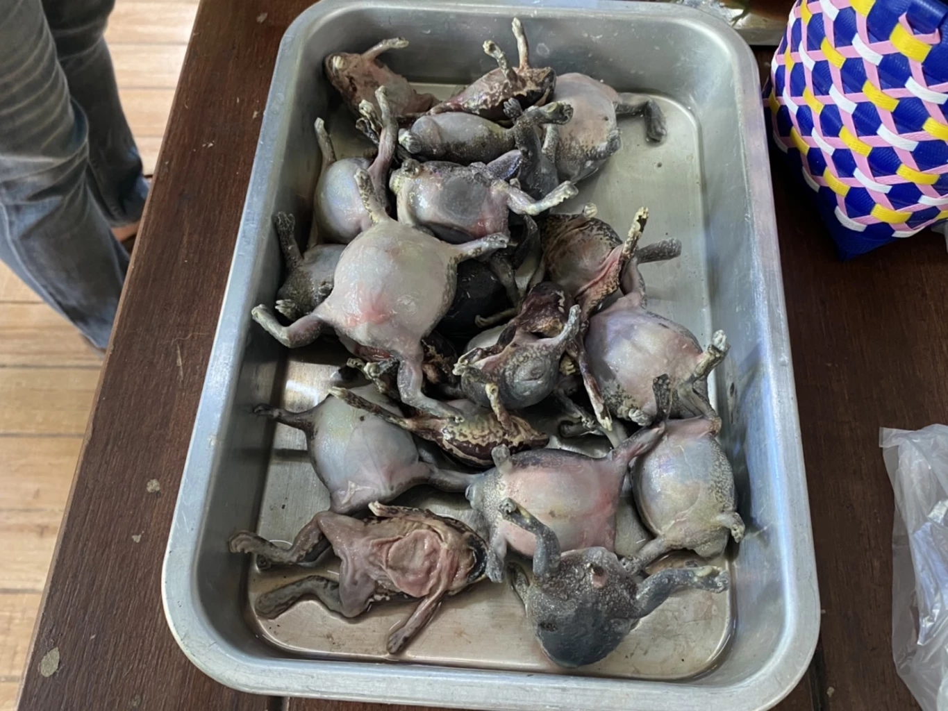 พิสดารตรงไหน! เปิดต้นตำรับสองสาวพี่น้อง “อึ่งชอต”