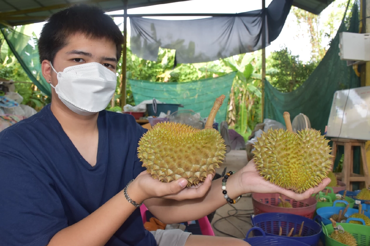 เอาใจคนรักทุเรียน"หลงลับแล"ตะมุตะมิ