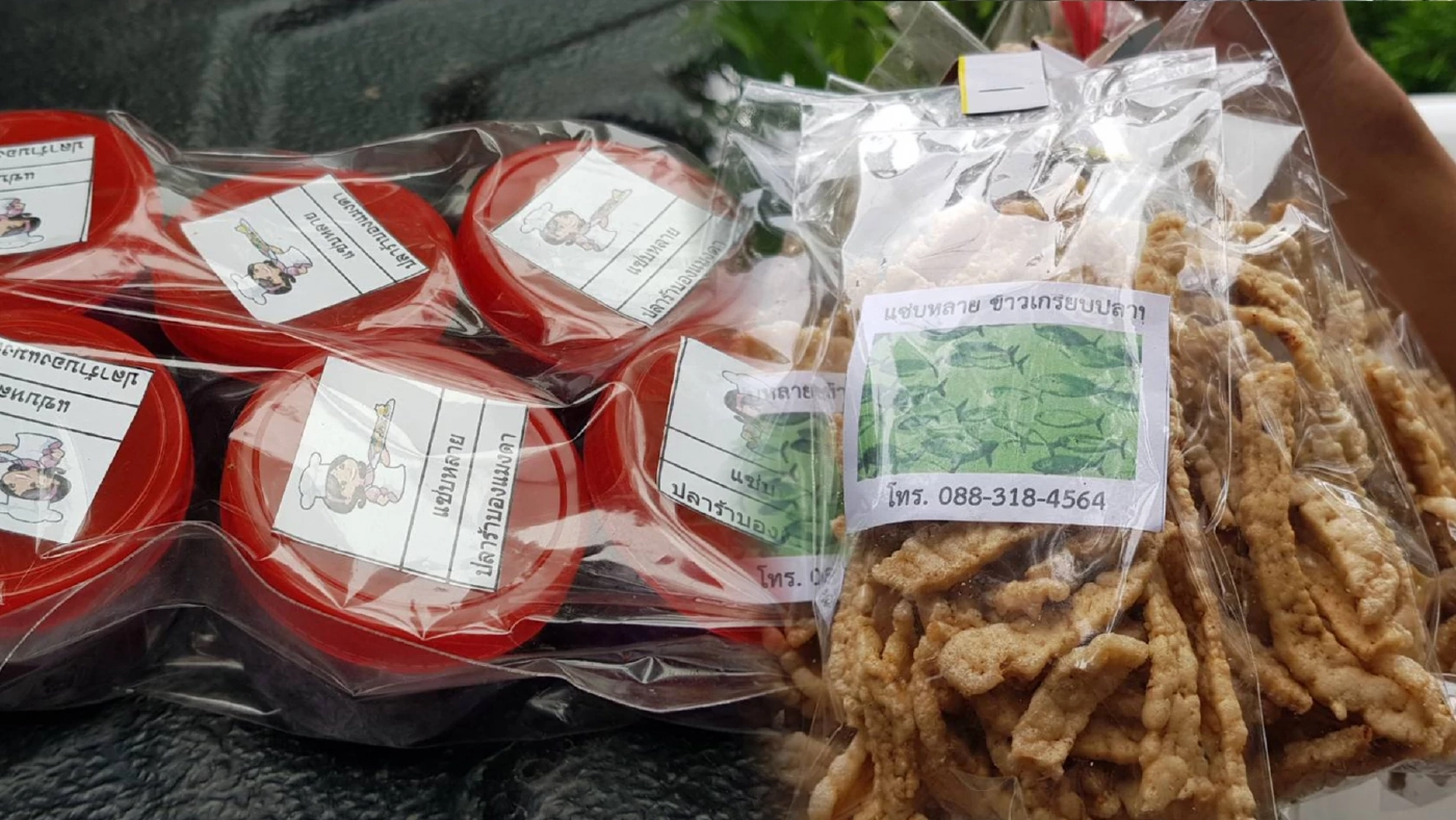 น้องชายพระบิดาชี้ หมอปลากับเมียมองแล้วติ๊งต๊อง