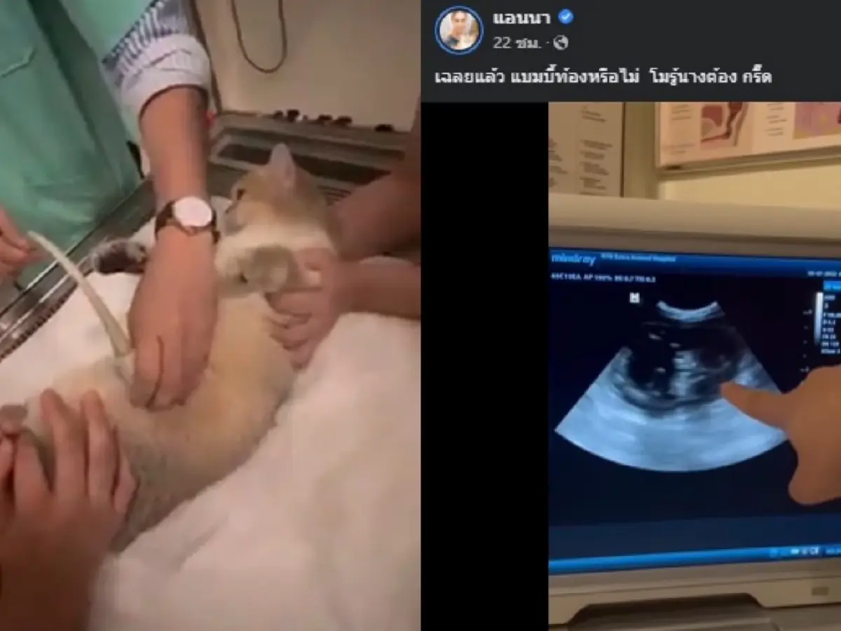 "แอนนา" เผยข่าวดี ในที่สุดฟ้าประทานมาให้หาก “แตงโม” รู้คงดีใจมากๆ