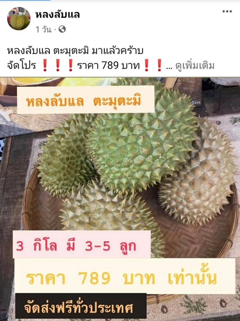 เอาใจคนรักทุเรียน"หลงลับแล"ตะมุตะมิ
