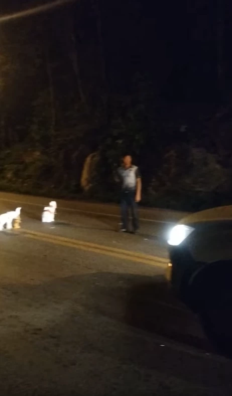 พิเรนทร์! วางรูปปั้นม้าทรงเครื่องถวายศาล กีดขวางกลางถนน 