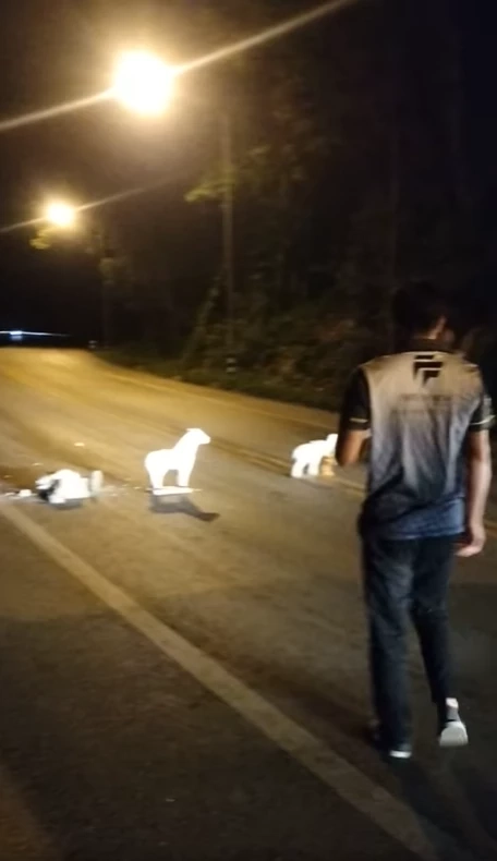 พิเรนทร์! วางรูปปั้นม้าทรงเครื่องถวายศาล กีดขวางกลางถนน 