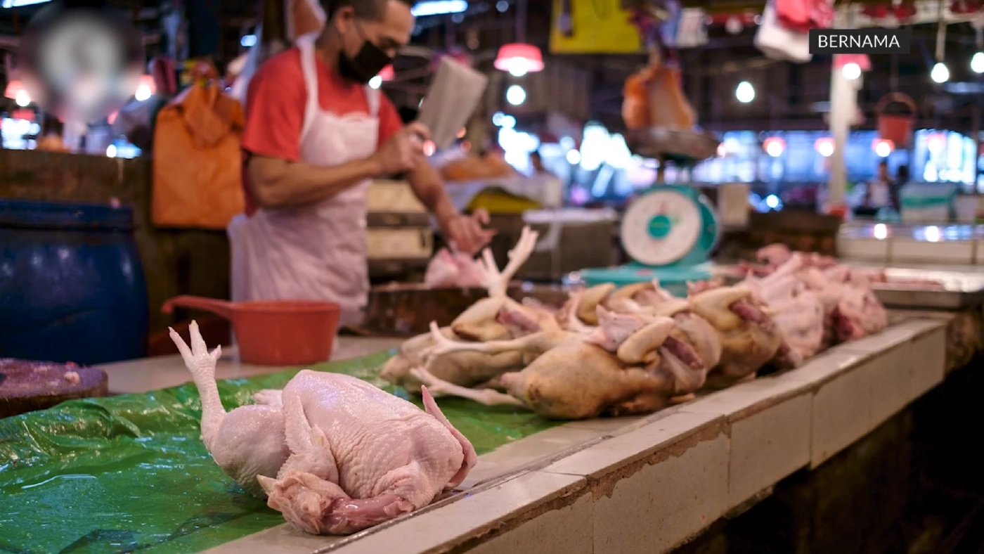 มาเลเซียระงับส่งออกไก่เริ่ม มิ.ย. หลังขาดแคลน-ราคาพุ่ง