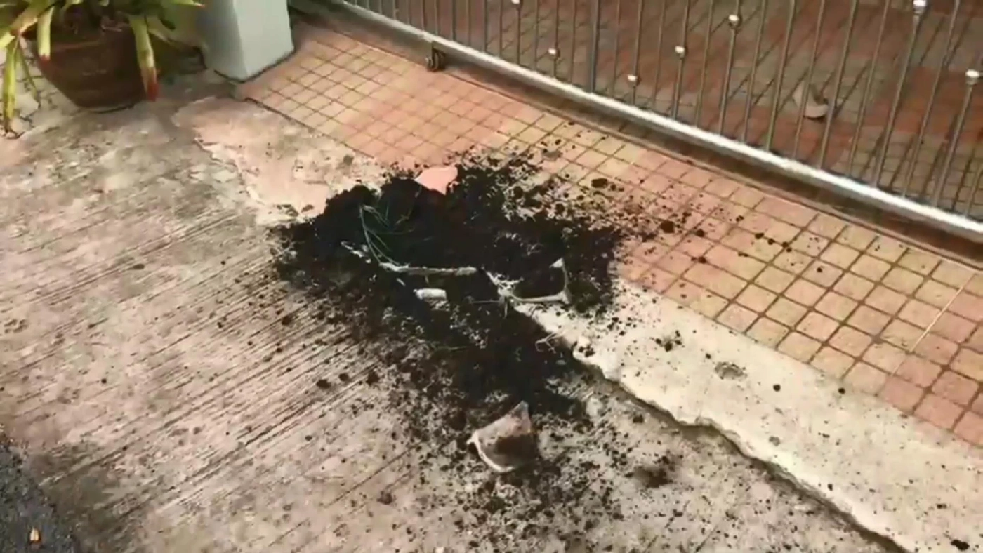 ระทึก! จนท.คุมตัวฝรั่งคลั่งแทงเพื่อนต่างชาติ-ไล่ทำร้ายชาวบ้าน