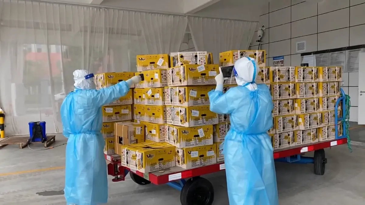 เปิดเที่ยวบิน​ ​"กว่างซี" นำเข้าผลไม้สมาชิก RCEP อย่างเป็นทางการ (คลิป)