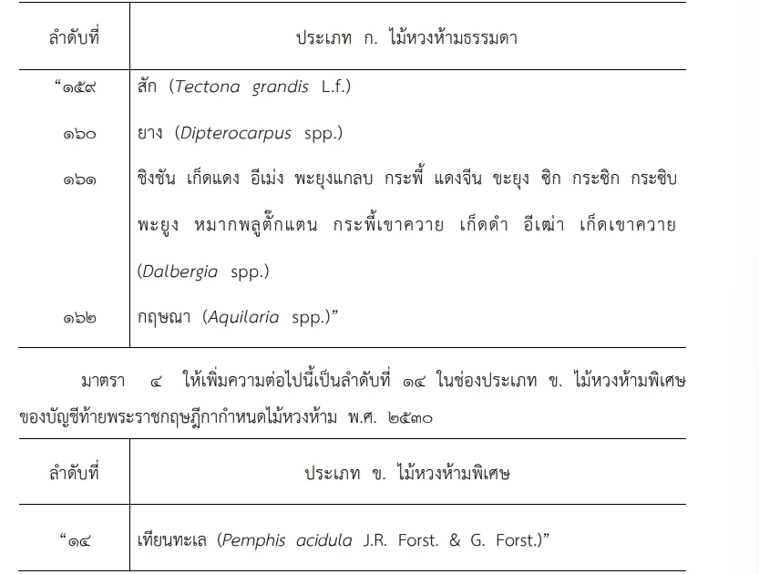 เช็กเลย "ราชกิจจาฯ" ออกพรฎ.กำหนด"ไม้หวงห้าม"หลังลักลอบตัดโค่นในที่ดินรัฐ