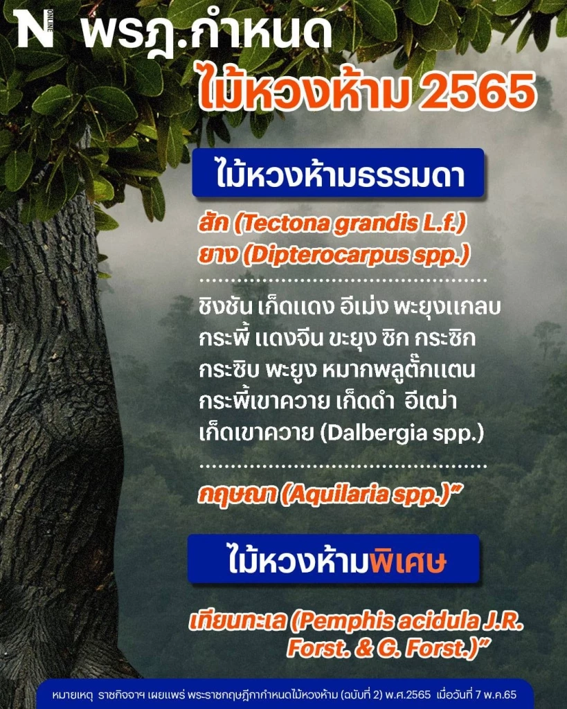 เช็กเลย "ราชกิจจาฯ" ออกพรฎ.กำหนด"ไม้หวงห้าม"หลังลักลอบตัดโค่นในที่ดินรัฐ