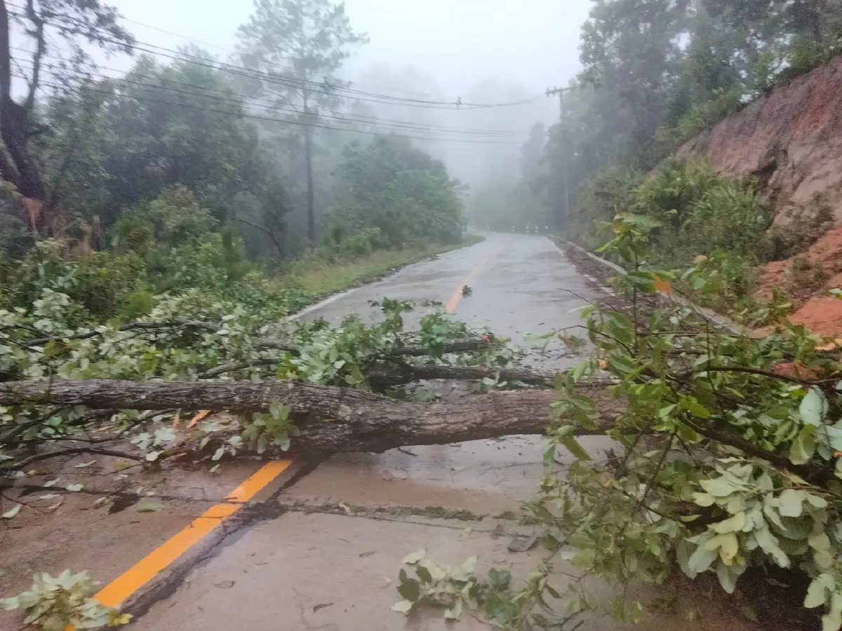 ชาวเชียงใหม่อ่วม ฝนถล่มหนักสุดรอบหลายปี น้ำป่าทะลักเข้าเมืองหลายพื้นที่