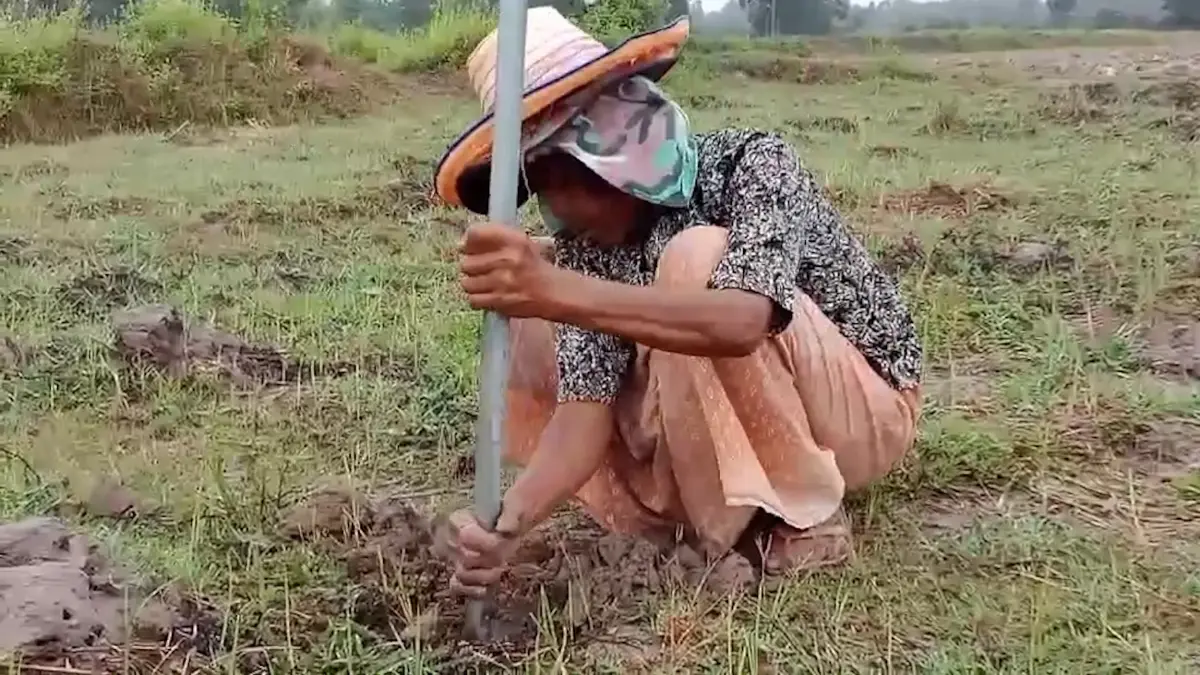 แม่เฒ่าพิการหลังค่อมสู้ชีวิต! ขุด 'ปูนา' ขายเลี้ยงชีพ
