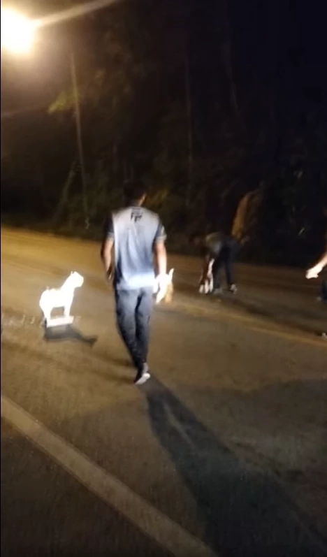 พิเรนทร์! วางรูปปั้นม้าทรงเครื่องถวายศาล กีดขวางกลางถนน 