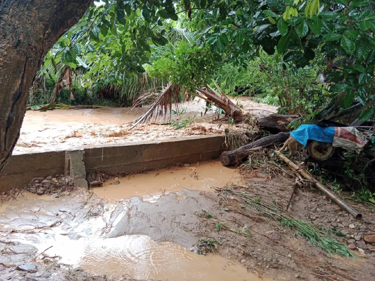 ฝนถล่มภาคเหนือ ลำปาง หนุ่มไลฟ์สดขอความช่วยเหลือหลังหนีน้ำขึ้นหลังคา