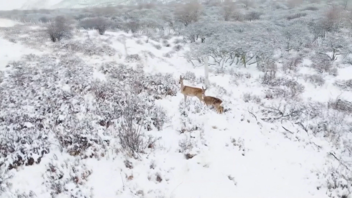 ภาคเหนือของจีนยังมีหิมะปกคลุมและปรากฏการณ์น้ำแข็งช่วงฤดูใบไม้ผลิ (คลิป)