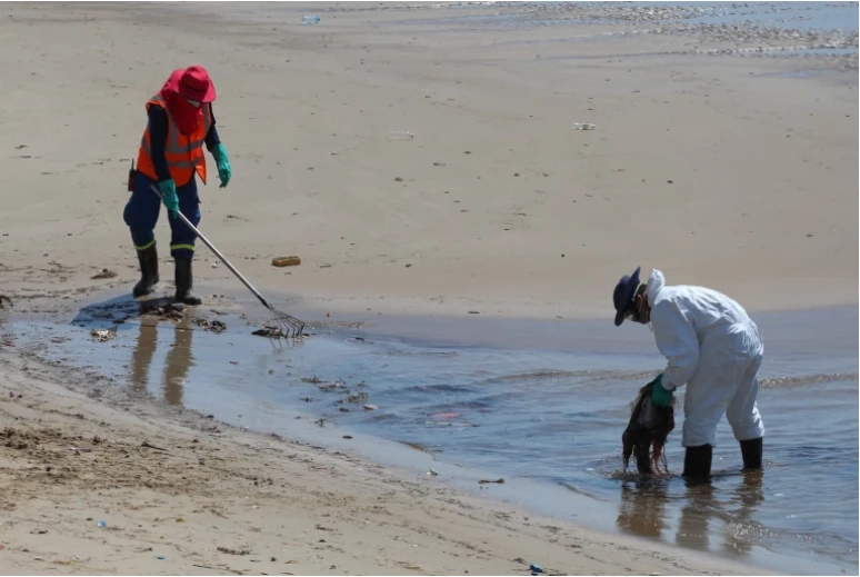 ภาพการเก็บกู้น้ำมันรั่วที่ทะเลระยอง