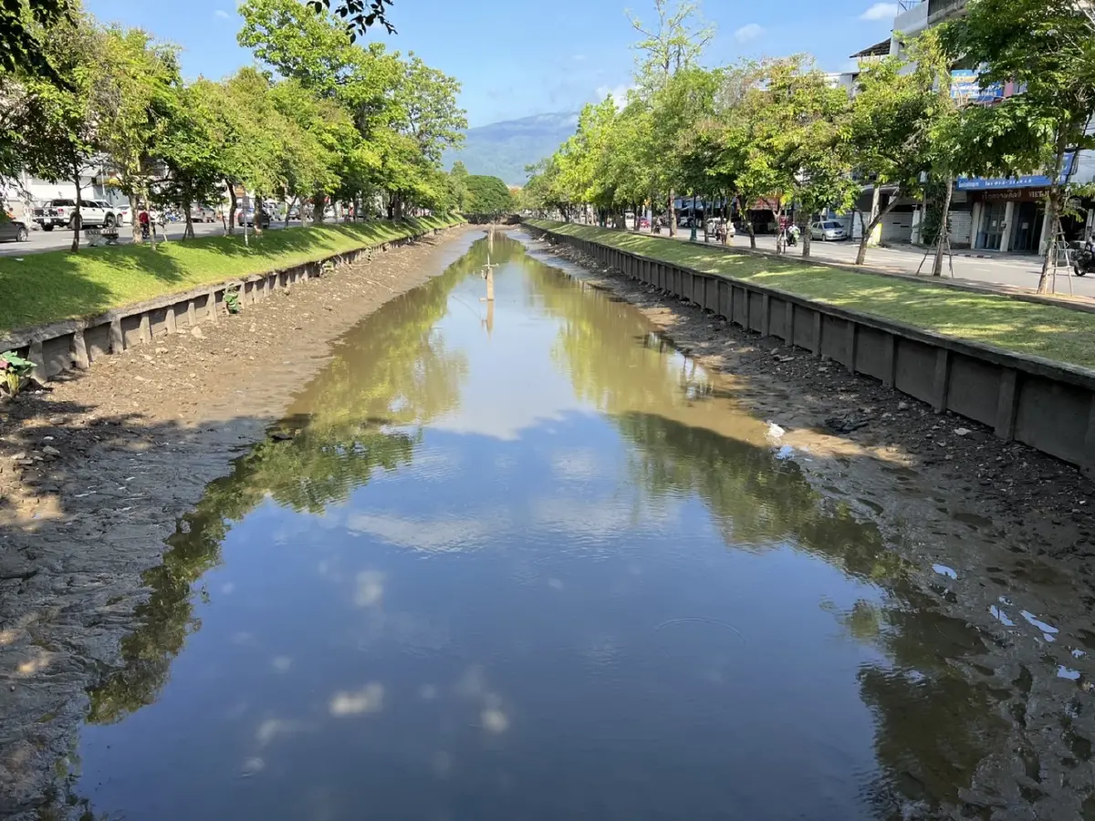 ภาพหาดูยาก“ปลาบินในคูเมืองเชียงใหม่”