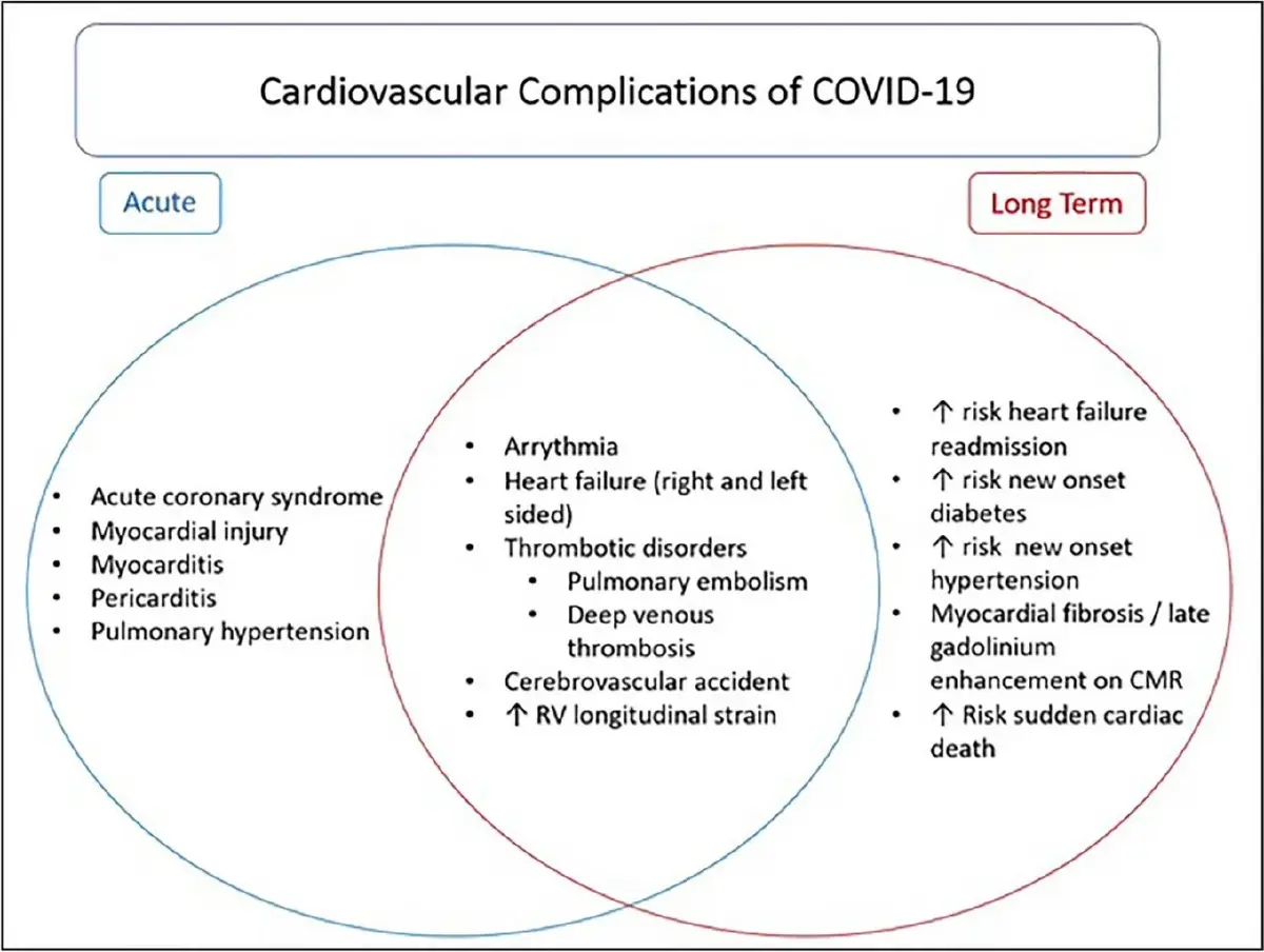 นพ.ธีระ เผย สารพันธุกรรมโควิดตกค้าง ในผู้ป่วย Long COVID เป็นเหตุภาวะลำไส้อักเสบ