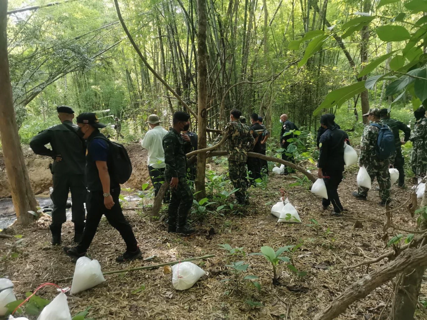 เหตุ 5 ช้างป่ากาญจนบุรี ตกหลุมยุบเสียชีวิต