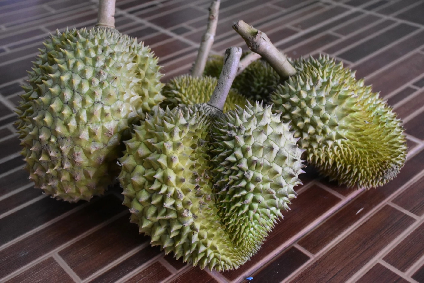 เอาใจคนรักทุเรียน"หลงลับแล"ตะมุตะมิ