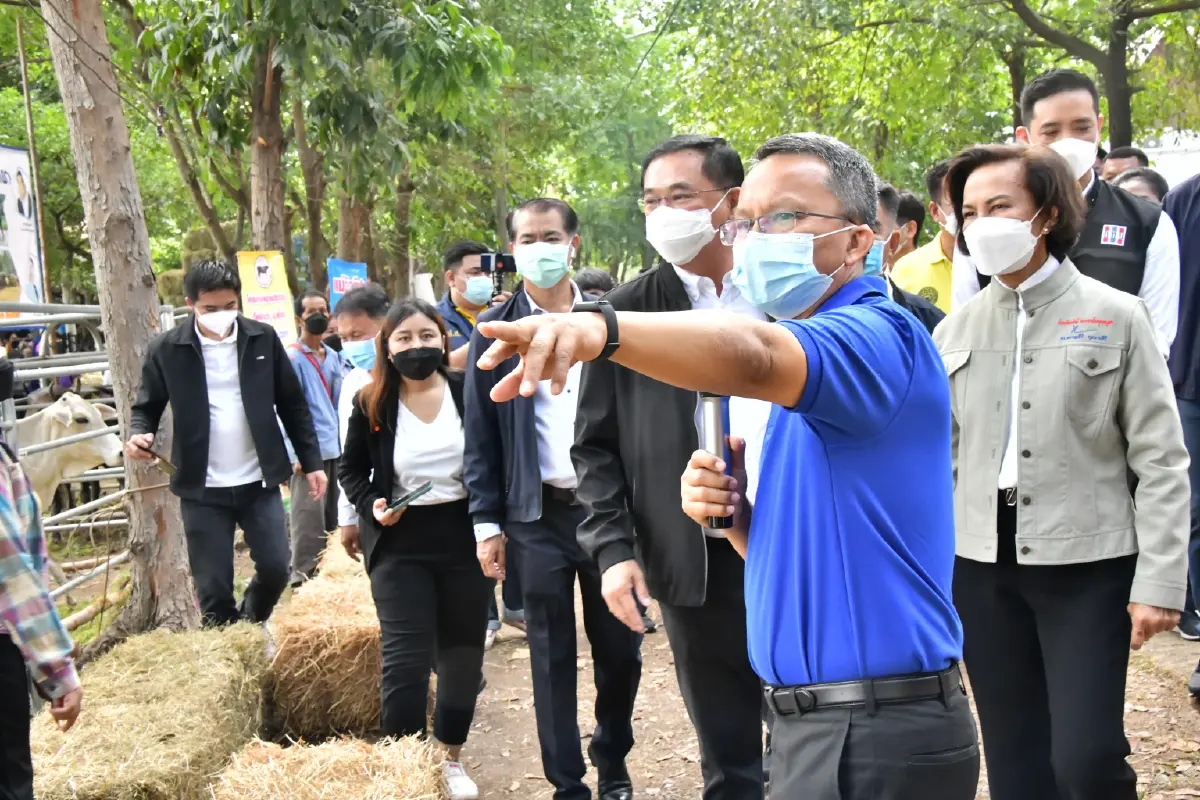 สมศักดิ์ เทพสุทิน จัดให้ จับมือ กทบ. ทุ่ม 50 ล้าน "โครงการยืมวัว 1,000 ครอบครัว"