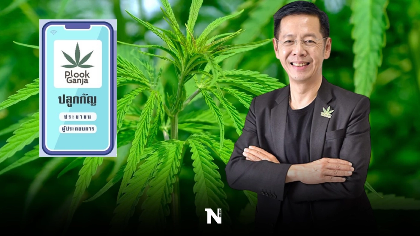 หลัง 9 มิ.ย.นี้ ปลูกกัญชา-กัญชงได้ แค่จดแจ้งผ่านแอพฯ ไม่ต้องขออนุญาต!