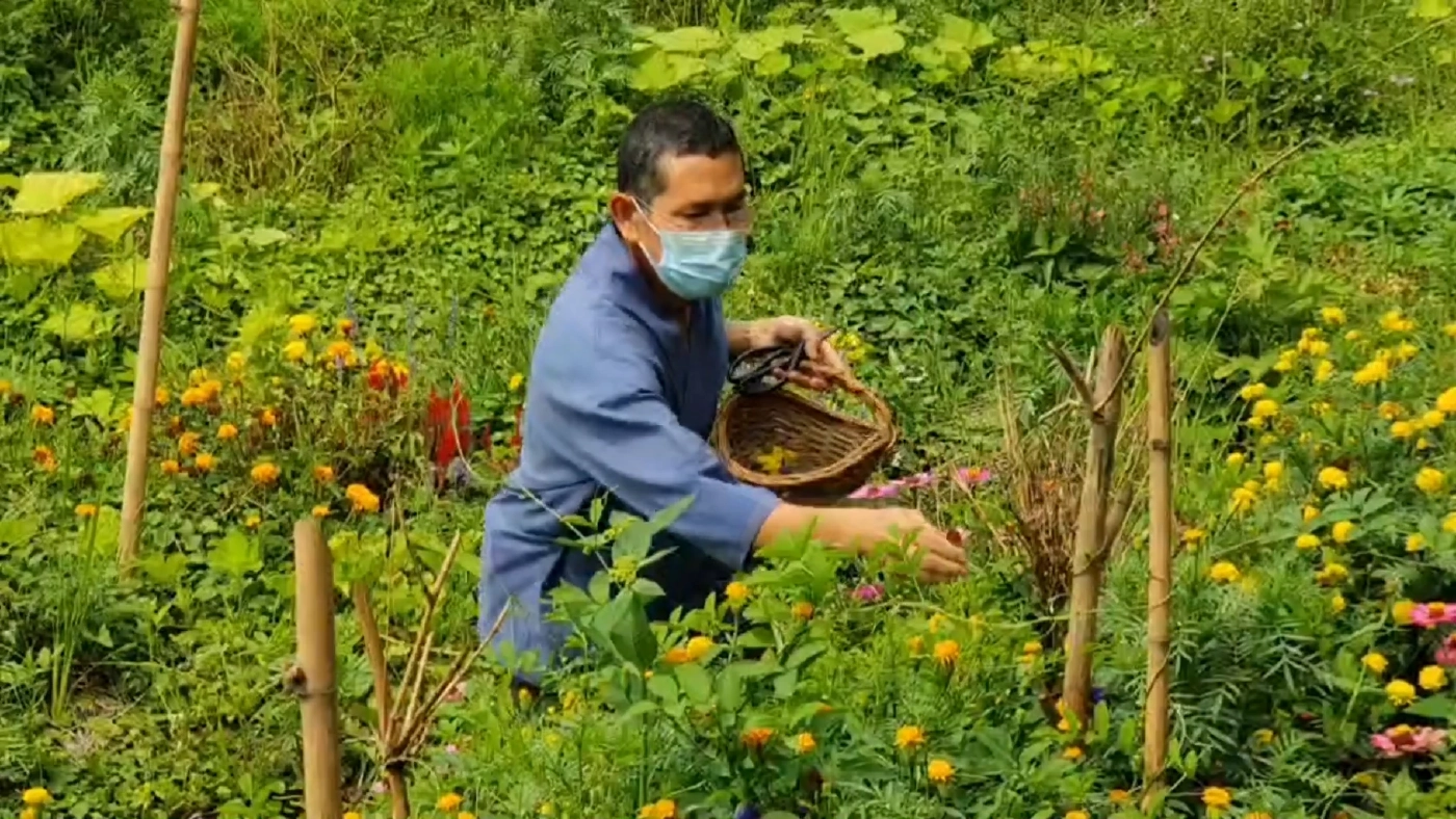 เมนู 'ดอกไม้' กินได้เมืองเหนือ คิวยาวถึงตุลาคม!