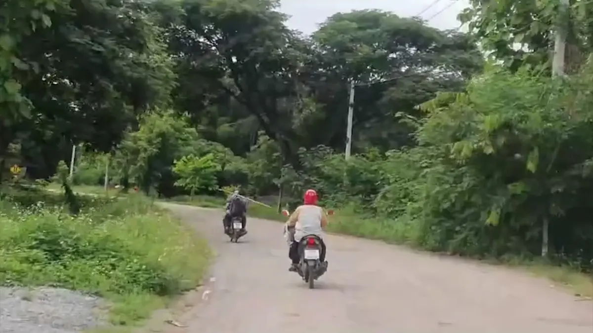 ชาวบ้านจับ 'แมงแกง' ขายรายได้งามรับเงินวันละพัน!