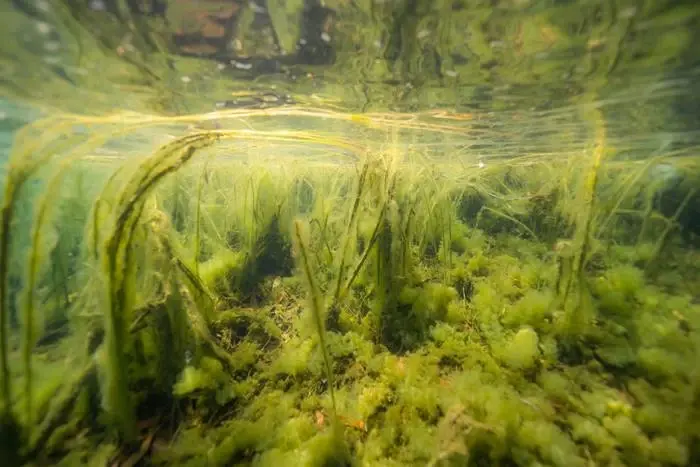 ดราม่าดำน้ำขุมน้ำท่าแตง อดีตเหมืองเก่า คุ้มไหมสวยแลกอันตราย