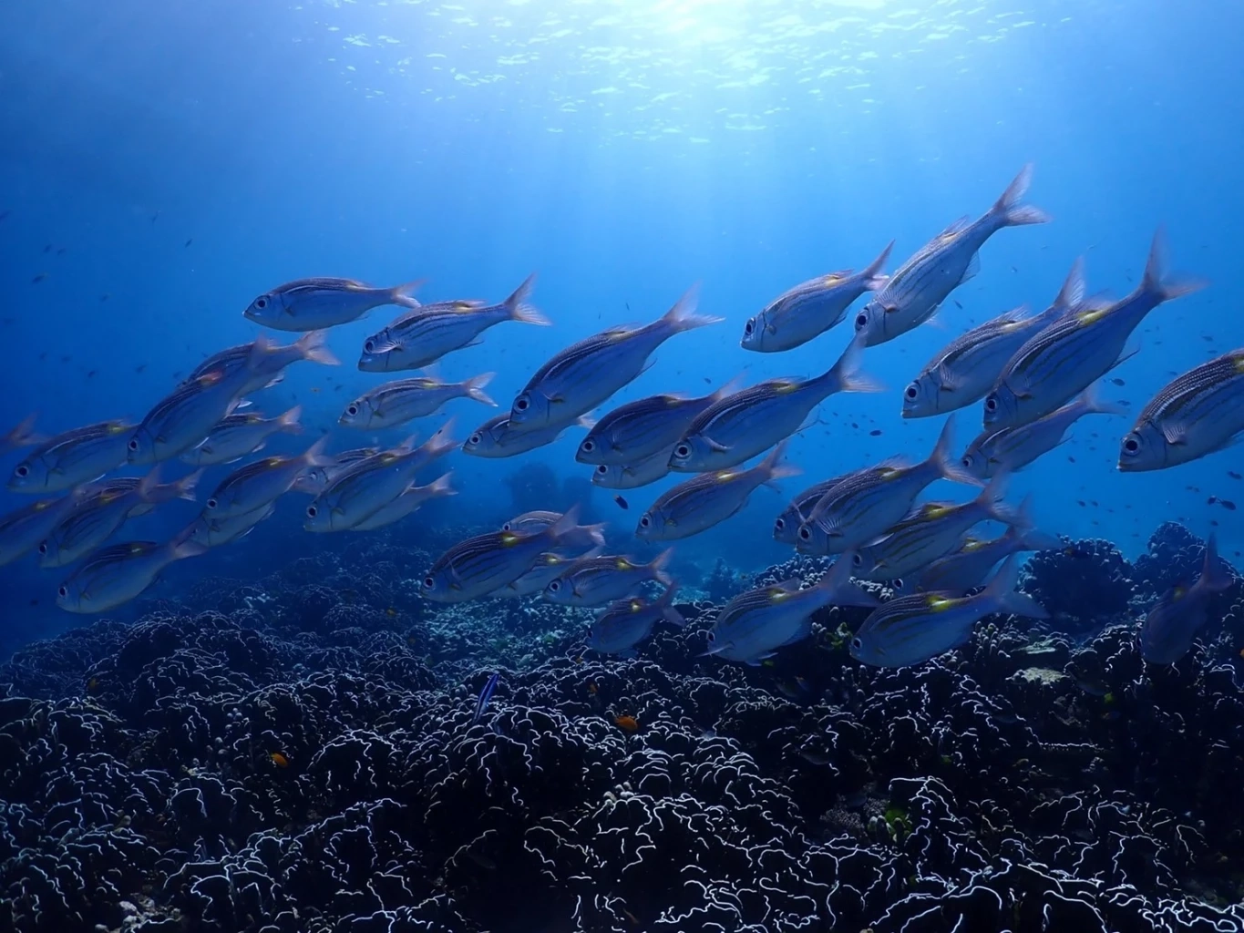 อัปเดตวันหยุดยาว วันหยุดพิเศษ เดือนก.ค. 65 วันไหนได้หยุดบ้าง เช็กเลยตรงนี้