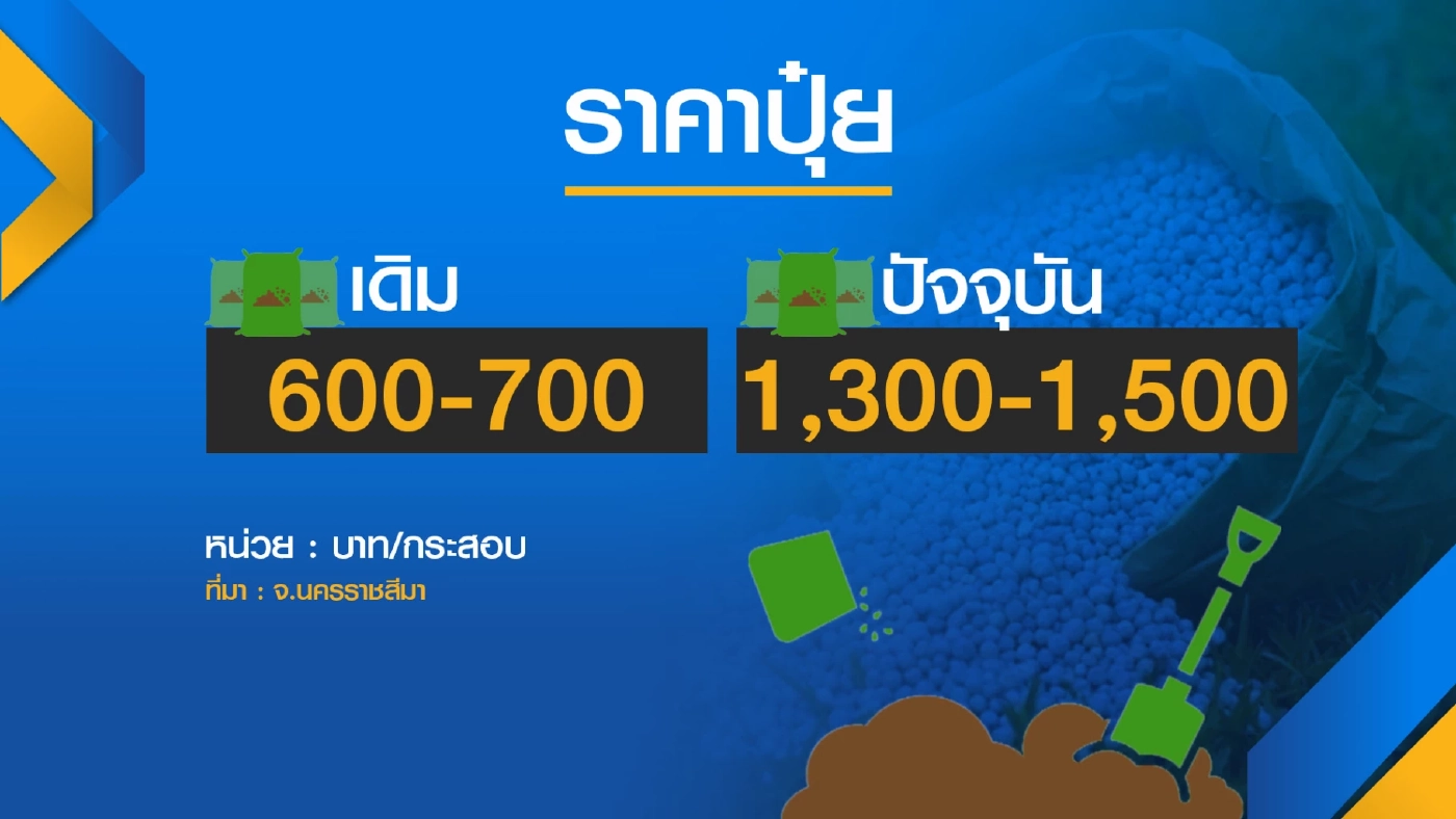 ทุกข์ชาวนา! 'ปุ๋ย' ราคาพุ่ง 1,500 บาท/กระสอบ