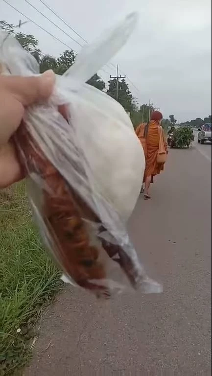 หนุ่มงงซื้อข้าวเหนียวไก่ปิ้งใส่บาตร "พระ" แต่ถูกโยนทิ้ง บอกผมไม่กิน