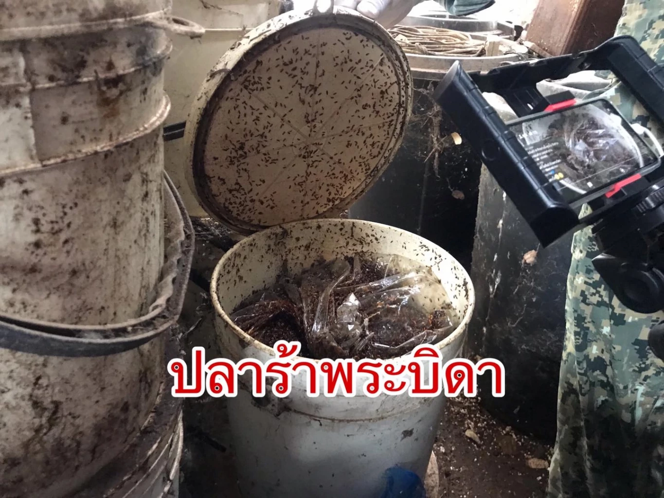 นัวมาก ! สาวรีวิวน้ำพริกปลาร้าพระบิดา เผยแซ่บจนหมดกระปุก