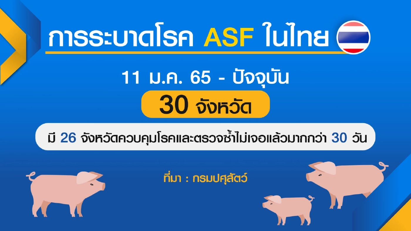 กระทรวงเกษตรฯ มั่นใจปราบอหิวาต์ 'หมู' อยู่หมัด
