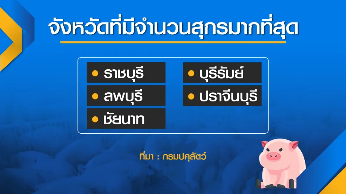 ปศุสัตว์เร่งหาแนวทางลดต้นทุนผลิต 'ฉุด' ราคาหมู