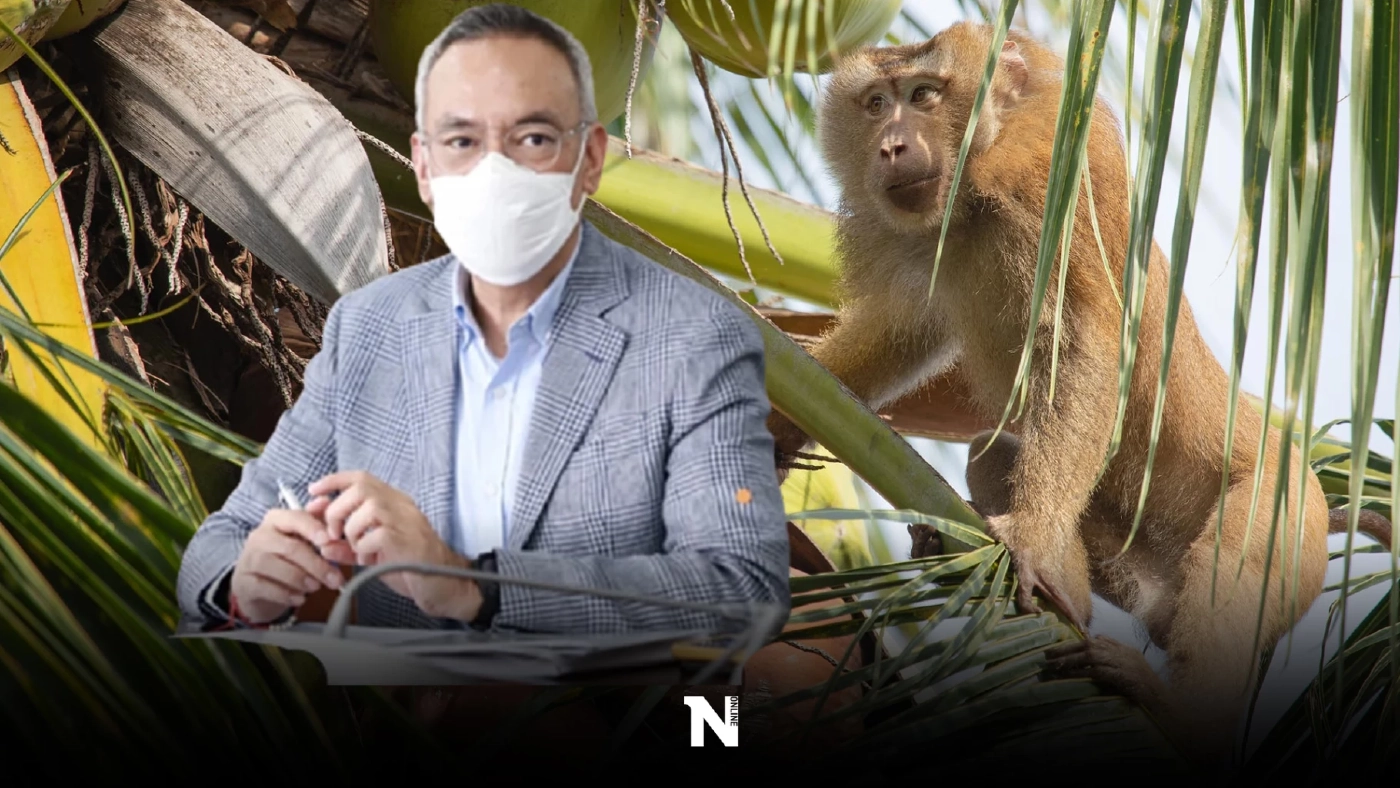 DITP แจงปมใช้ "ลิงเก็บมะพร้าว" ย้ำเป็นวิถีชุมชน ยัน Walmart ไม่ได้แบนกะทิไทย