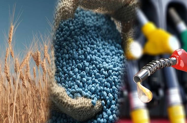 วิกฤตอาหารโลก! โอกาสดันไทยสู่ครัวโลก